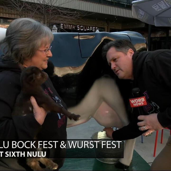 Keith Kaiser learns how to milk the cow down at NuLu's Bock Fest and Wurst Fest